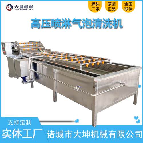 气泡喷淋石榴籽清洗机全自动芦笋清洗设备臭氧去农残蔬菜清洗机