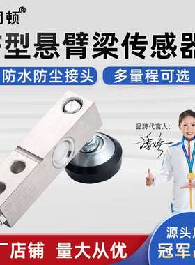 普司顿F1悬臂梁压力称重感测器高精度小地磅平台电子秤500kg1吨