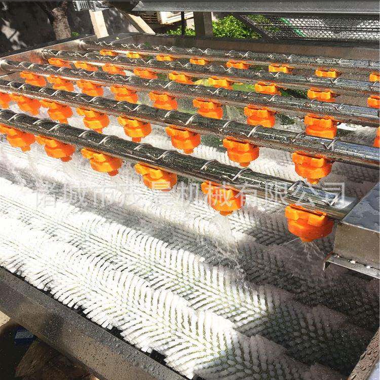 厂家萝卜大姜软毛刷去泥沙清洗机红薯毛辊清洗机平行毛刷机
