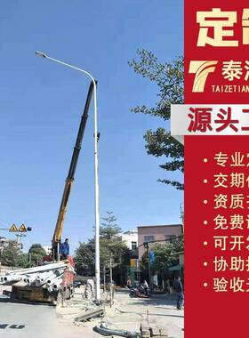 厂家定制户外亮化大功率双臂路灯市政工程led市电自弯臂路灯