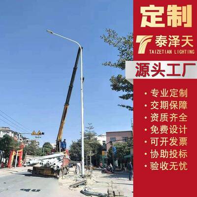 厂家定制户外亮化大功率双臂路灯市政工程led市电自弯臂路灯