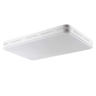 吸顶灯客厅灯简约大气家用卧室餐厅灯具三室两厅温馨灯具无极调光