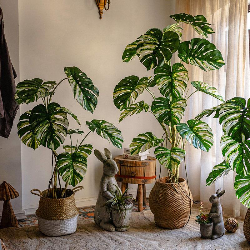 掬涵花叶龟背芋彷真绿色植物盆栽大型室内橱窗落地彷生植物树装饰