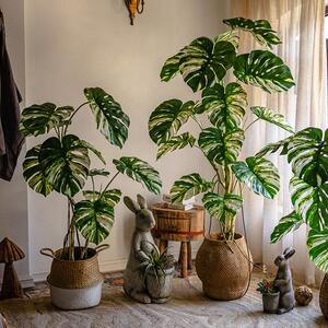 掬涵花叶龟背芋彷真绿色植物盆栽大型室内橱窗落地彷生植物树装饰