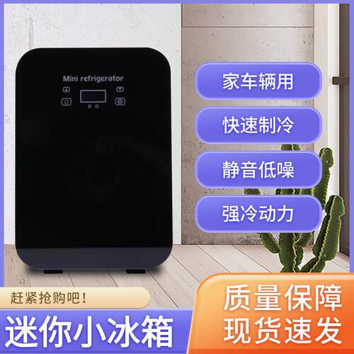 10L车载冰箱寝室冷暖箱保鲜租房车家两 用车载冷暖冰箱宿舍办公