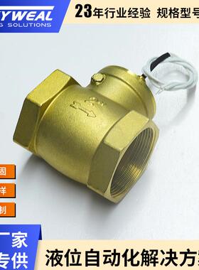 水流止回FS-DN50TDB挡板式水流开关干簧管感应缺水保护开关