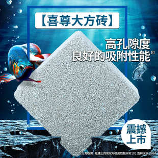 喜尊官方 大方砖培菌滤材大鱼缸底滤水族箱龙鱼过滤材料导流砖