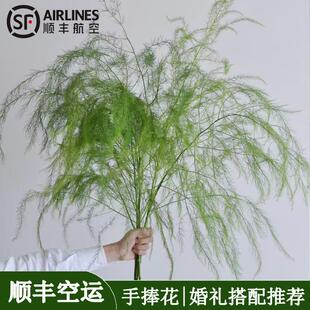 芦荀草鲜花云南直发自然风森系小众婚礼手捧花搭配推荐顺丰空运