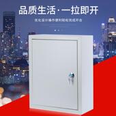 动力箱配电箱户外电表箱厂家冷轧外壳控制箱明装 检修箱 电箱横竖式
