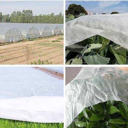 白色育秧无纺布水稻育秧果树防霜冻防寒保温农用薄膜抗老化育苗布,纺织面料/辅料/配套,土工布,淘宝优惠券,粉丝福利购,淘宝优惠卷