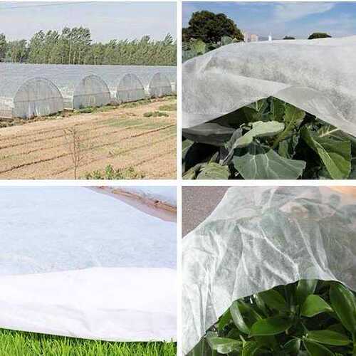 白色育秧无纺布水稻育秧果树防霜冻防寒保温农用薄膜抗老化育苗布