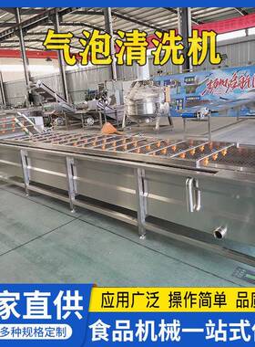 商用水果清洗机芒果青梅压喷淋清洗设备海南仙桃翻浪式洗果机