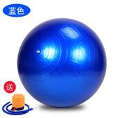 新款 瑜伽球55cm背夹球练户外拓展训游活戏道具运动会亲子动器 力