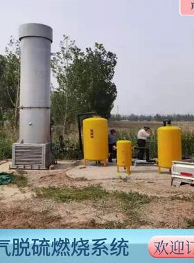 翔光机械 沼气火炬 沼气脱硫净化器 内燃式沼气火炬 50立方