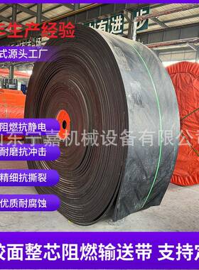 六级1000mm带宽阻燃PVG阻燃皮带PVG800S-1000mm整芯阻燃输送带