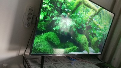 评价揭秘海信H55E3A与创维55M7S哪款好用？？使用差别大不大