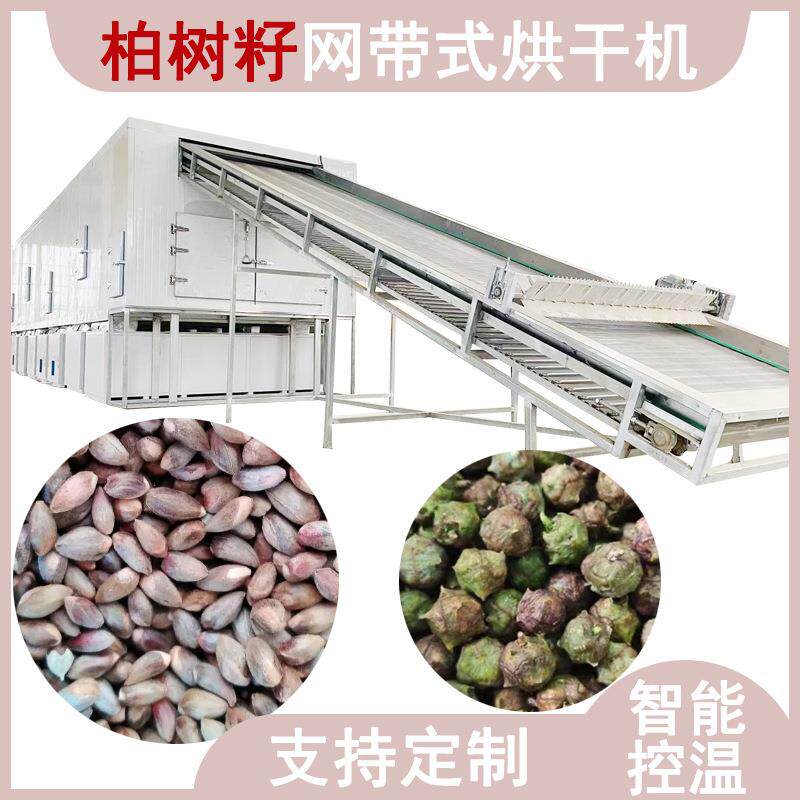 思铭柏树籽烘干机空气能网带式柏树子烘干箱柏子仁中药材烘干设