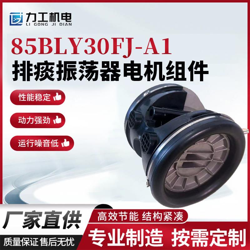 排痰振荡器电机组件排痰机高频振荡振动机械直流无刷电动机