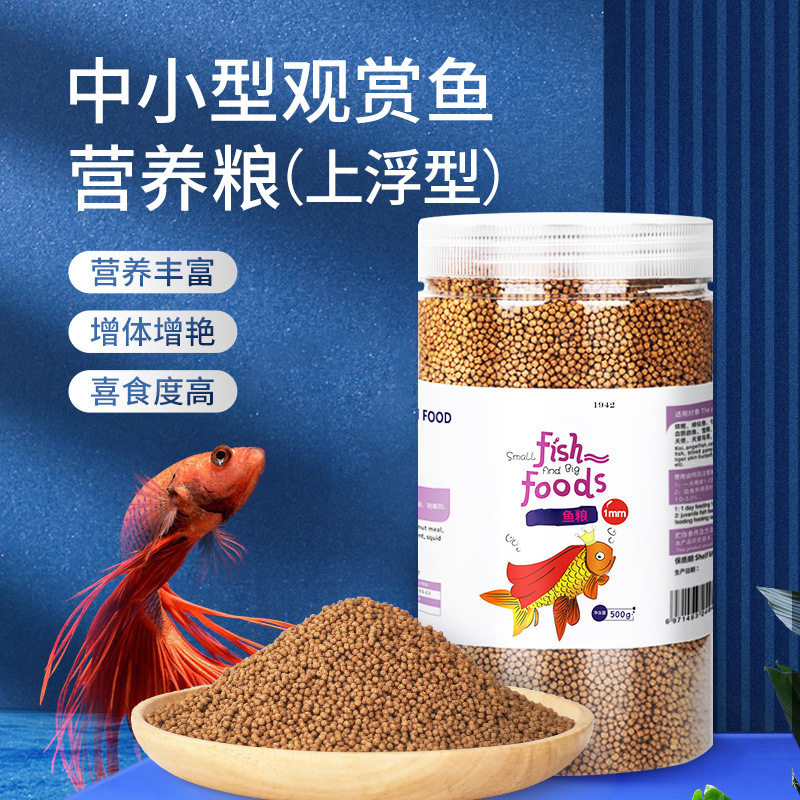 观赏鱼热带鱼mm鲤鱼观赏鱼饲料