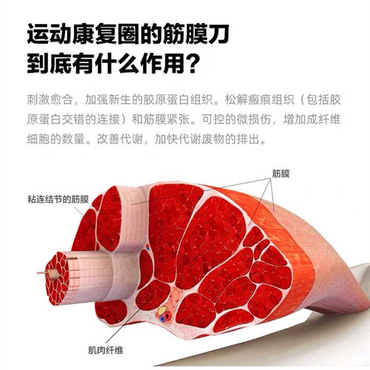 304不锈钢筋膜刀辅助软组织松动术肌肉经络按摩器松解刀运动理疗,个人护理/保健/按摩器材,按摩温熏调理器配件,淘宝优惠券,粉丝福利购,淘宝优惠卷
