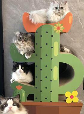 益蔻icle仙人掌猫抓板猫窝猫爬架4层高端BB坑耐抓耐磨多层组合窝