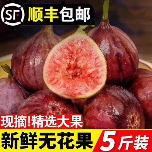 顺丰冷链云南新鲜红皮无花果5斤现摘现发当季时令孕妇水果鲜果甜