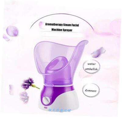 facial steam steamer hot spray steaming face instrumen蒸脸器