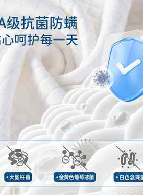 青睡少年枕头护颈椎助XP-202睡眠用宿舍学生觉专记用儿童四季通忆