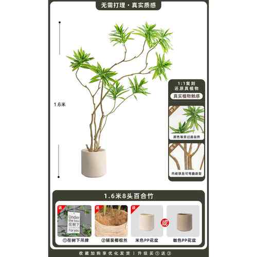 高档厅装饰品摆件百合竹仿真绿植客玄关地电视柜轻奢高假植物落档