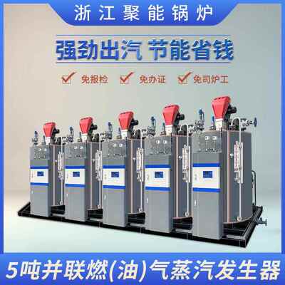 浙江聚LSW5-0.0能油500器0kg报/h免检柴天然气蒸汽发生定型烘干