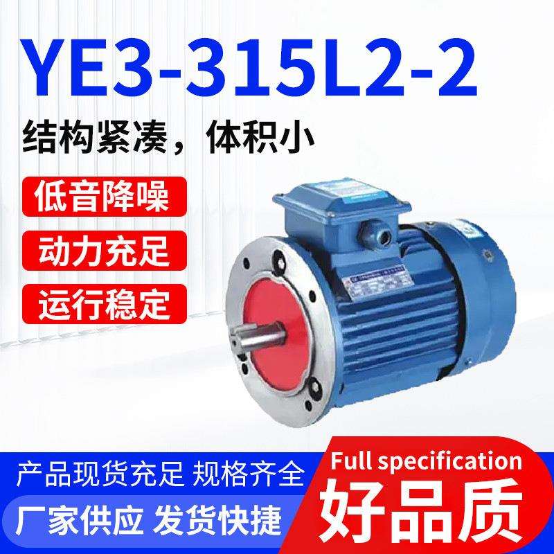 新款YE3-315L2-2粉尘防爆电机系全封闭自扇冷式鼠笼型结构电机