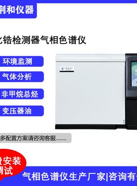 荆和氧化锆检测器气相色谱仪高纯惰性气体分析G51Pro色谱仪