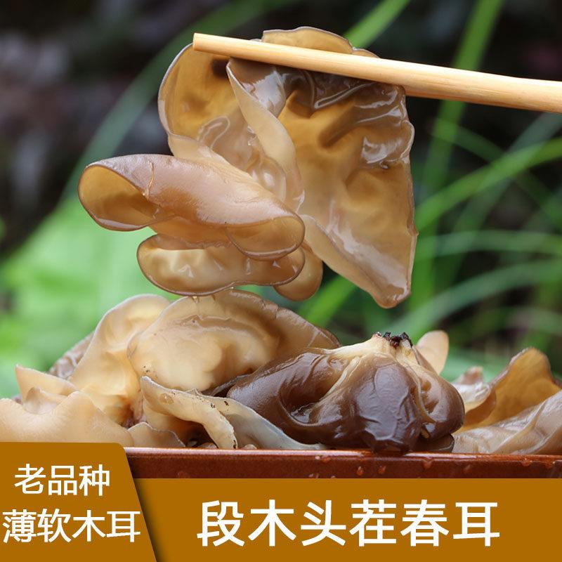 肉薄细嫩 头茬春耳 青杠段木耳农家青川黑木耳干货250g