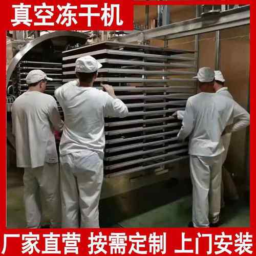 FILED果蔬冻干 脱水玫瑰花干燥冻设备 机西梅加工真冷线机空器按