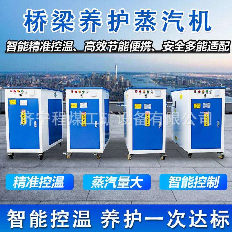 桥梁养护器电加热燃油蒸汽发生器预制水泥构件梁场桥梁养护蒸养机