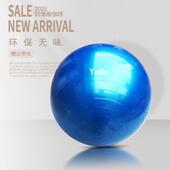 高档身瑜伽球健小减肥儿童感觉统合训练孕妇练专助用产分娩普拉提