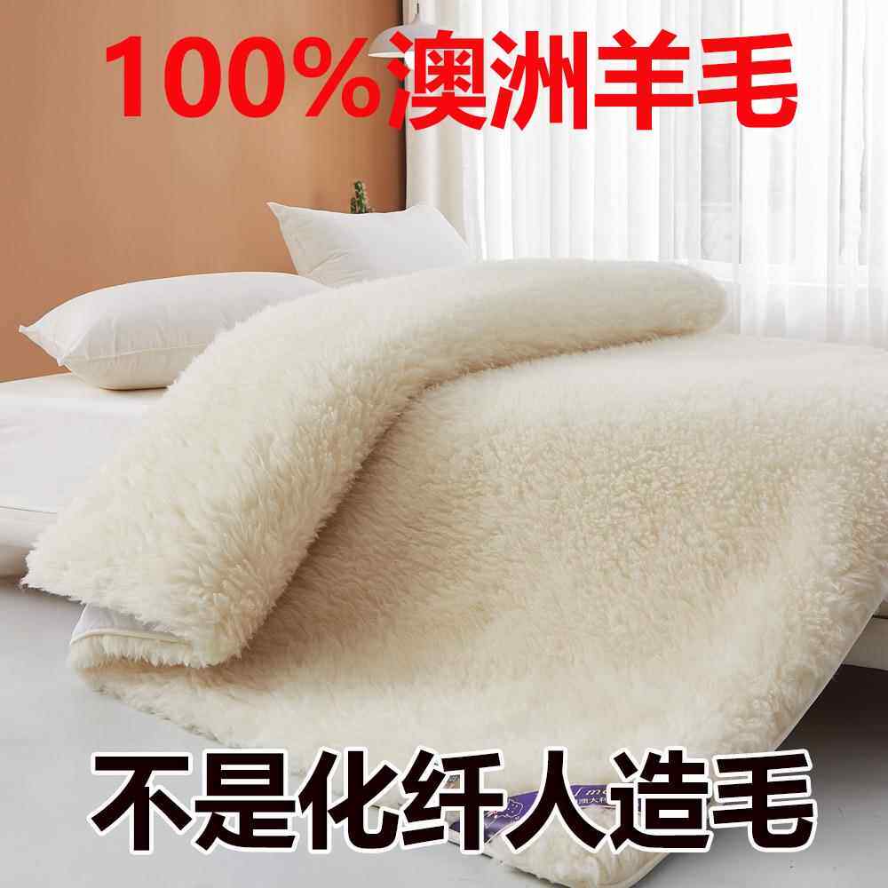 澳洲羊毛床垫软垫家用卧室羊羔绒毛毯冬天加厚学生宿舍垫被床褥子