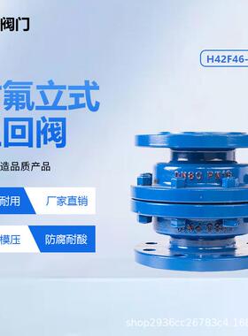 衬氟立式止回阀单向阀H42F46-16C法兰逆止阀耐腐蚀防回流源头厂家