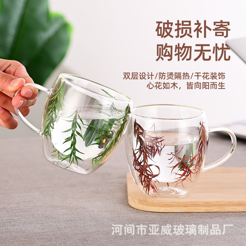 跨境高颜值玻璃杯创意真花干花杯耐热真花双层杯隔热水杯家用杯子