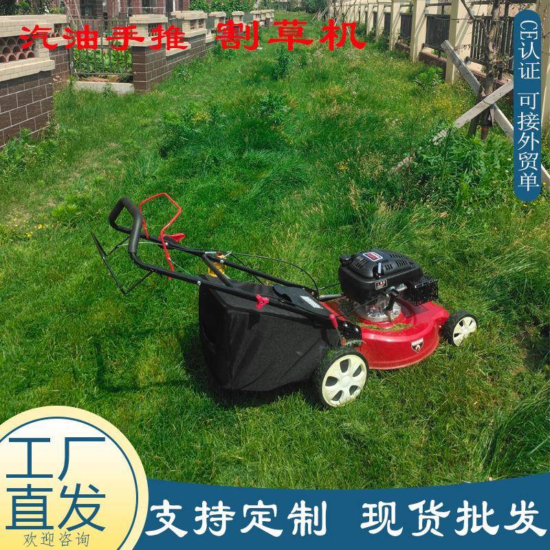 厂家直供自走手推割草机 汽油四冲程杂草修剪机 家用汽油草坪机