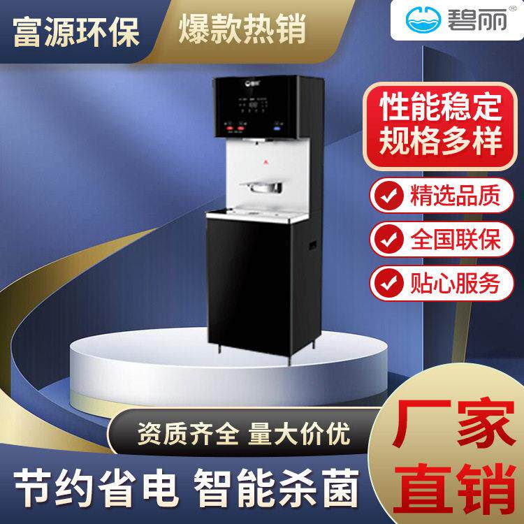 成都校园医院工厂饮水机碧丽节能开水器位加热净水一体直饮机