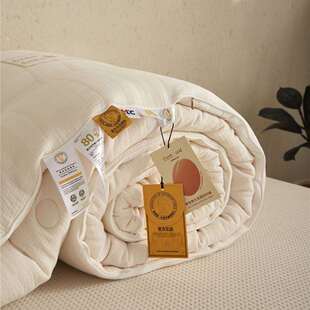 a类母婴双层纱纯棉80李官奇大豆被软糯亲肤冬被二合一夏冬子母被