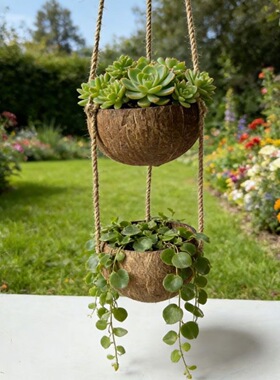 热卖电商选品创意天然椰子壳植种植物盆挂绳蓝家居装饰悬挂吊盘