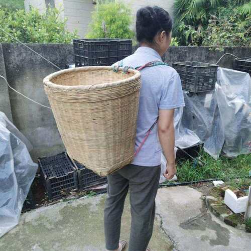 竹编篮竹背篓成人家用四川竹筐背篼买BEO采菜竹筐背茶舞子蹈传统