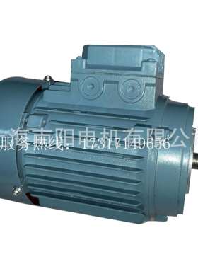 直供上海南阳电机有限公司JW6325 250W B14微型三相异步感应电动