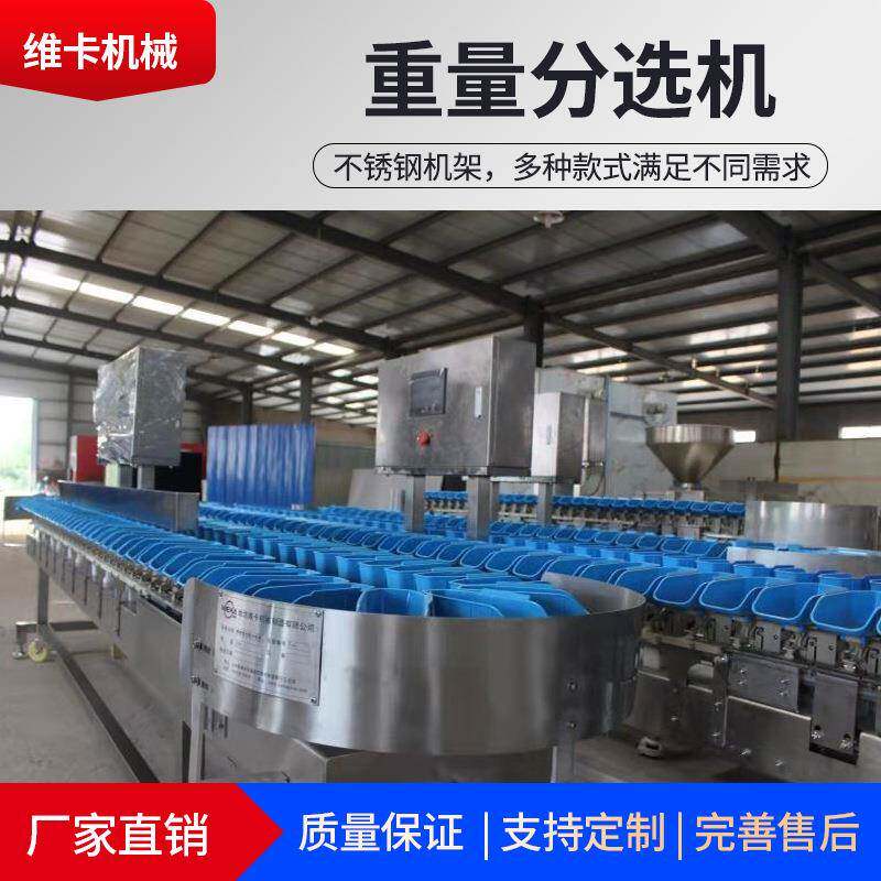 维卡海参鲍鱼重量分拣机海蛎子扇贝重量分选设备海蛎子称重分选机