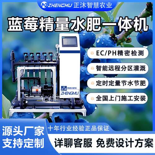 全智能水肥一体机蓝莓精量农业农田果园大棚过滤滴喷灌溉施肥设备
