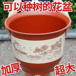 适合种三角梅的花盆特大号紫砂花盆高花盆高筒陶瓷花盆特价处理大