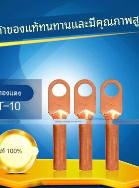 DT-10/16/25/35/50/70平方铜线鼻子接线端子线耳电缆接头国标镀锡