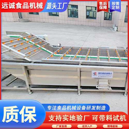 供应麦菜气泡清洗机 全动果 蔬ZNW清洗机设备净自菜加工流油水线